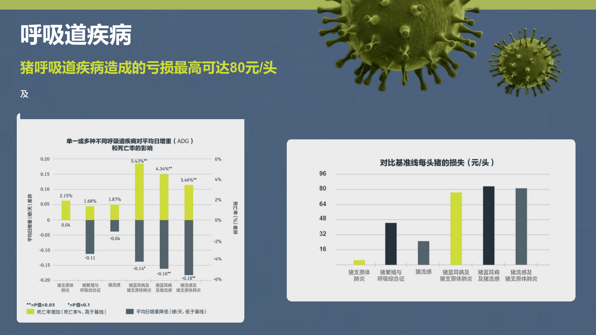 听得见声音健康 PDF 第4页