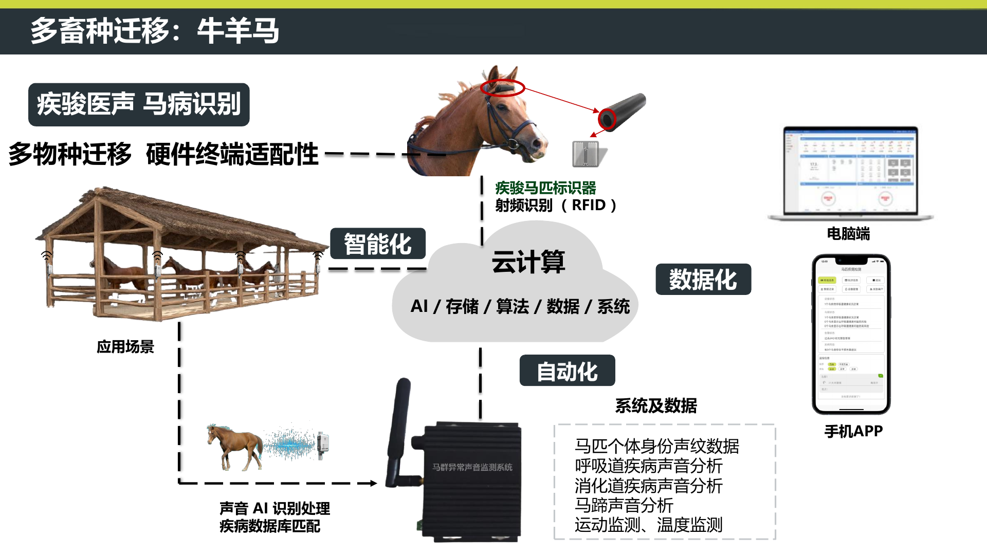 听得见声音健康 PDF 第18页