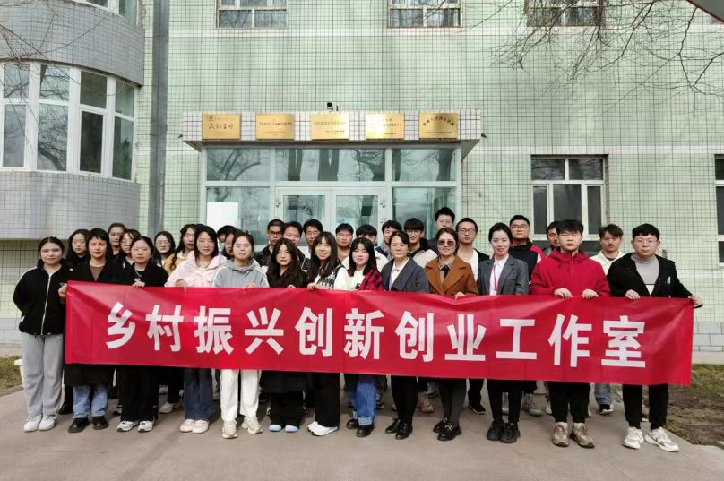 新大乡村振兴工作室图2